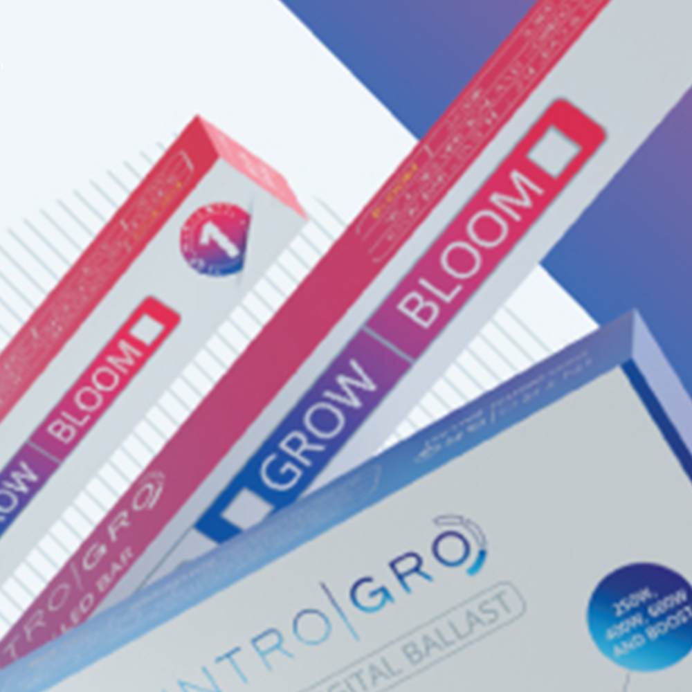 INTROGRO RANGE AD — Adobe Illustrator / Photoshop / Dimension