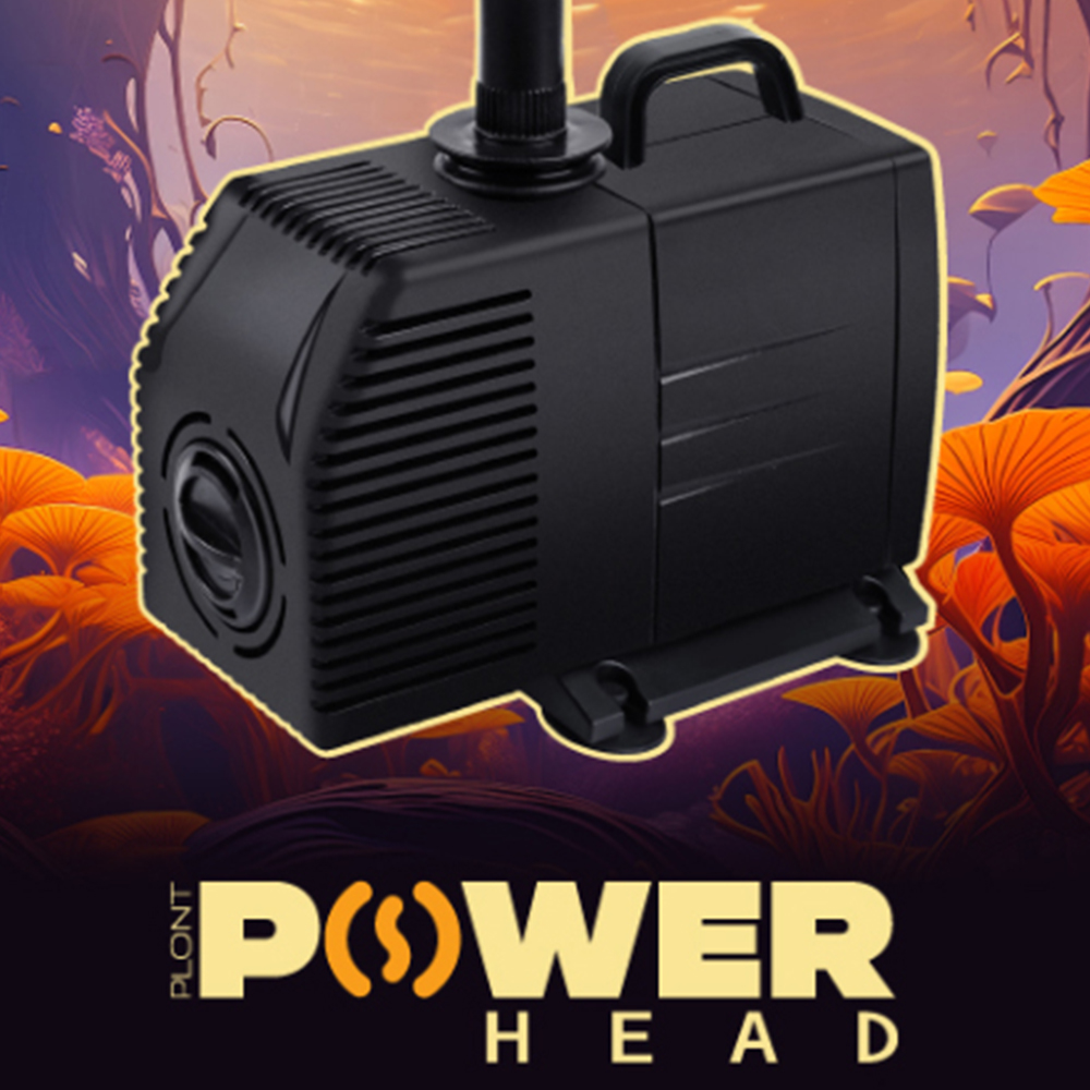 PLONT POWERHEAD SUBMERSIBLE PUMP EMAIL CAMPAIGN — Adobe Illustrator / Photoshop