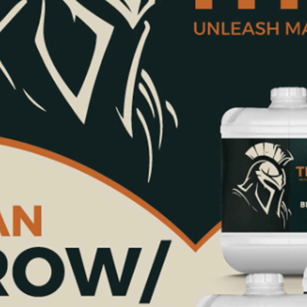 TITAN NUTRIENTS EMAIL CAMPAIGN — Adobe Illustrator